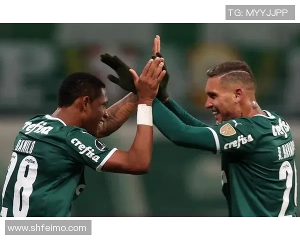 巴西杯精彩对决巴伊亚与帕尔梅拉的比赛结果揭晓